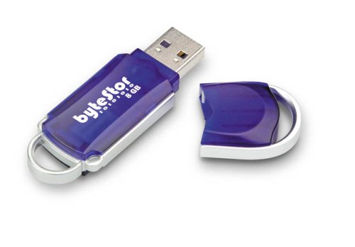 Childrens Toyshop   : ByteStor 8GB USB  High Speed "Dataferry" Flash Drive