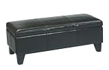 Armen Living Mbc-001 Storage Bench, Ottoman