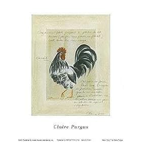 Major Grey I by Claire Pavlik Purgus Fine Art Print / Poster 5.00 x 7.00 in.