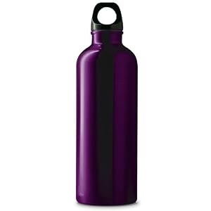 Crocodile Creek Purple Stainless Steel 16 Oz. Water Bottle