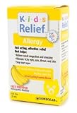UPC 778159676390 product image for Kids Relief Allergy Oral Solution, .85-Ounce Bottle (Pack of 2) | upcitemdb.com