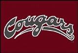 Logo Rugs Washington State Entry Mat