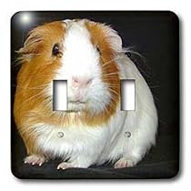 Guinea Pig - Guinea Pig - Light Switch Covers - double toggle switch