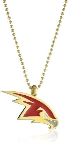 NBA Jewelry Atlanta Red Hawks Men's Medallion Necklace
