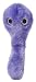 Giant Microbes - C. Diff (Clostridium difficile) Educational Plush Toy