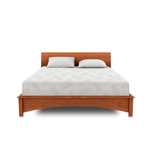 SilverRest Sleep Products Therapeutic 12" Inch HD Memory Foam Mattress with Cool AirFlow, Made with 5" of High Density Memory Foam, King Size by SilverRest Sleep Products