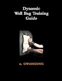 picture of Dynamic Wall Bag Training and Techniques