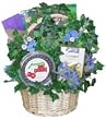 Certified Organic Cancer Patient Sampler Basket