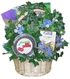 Certified Organic Cancer Patient Sampler Basket
