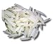 GLOW IN THE DARK MAGGOTS