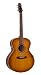 Seagull Entourage Rustic Mini Jumbo QI Guitar