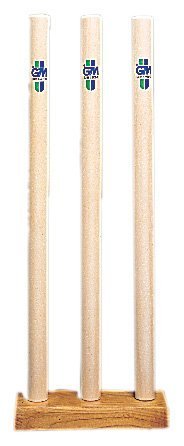 Gunn & Moore Playground Stumps