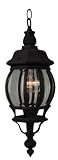 Craftmade Z321-05 Cast Aluminum Outdoor Pendant