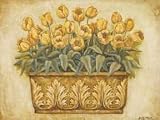 Yellow Tulips by Eva Misa. Size 24.00 X 18.00