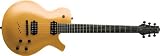 Parker P-Series Electric Guitar (Gold Top)