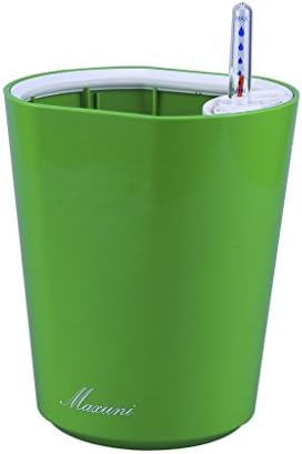 Green House-Complete Automatic Watering Pot Fashion Style Runway-shaped Home Plastic Self Watering Plater A02-Emerald Green