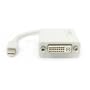 Apple Mini DisplayPort to DVI adapter cable by Neet� - ( for Unibody MacBook - Pro - Air etc. )