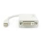 Apple Mini DisplayPort to DVI adapter cable by Neet� - ( for Unibody MacBook - Pro - Air etc. )