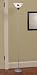 Minnesota Golden Gophers Torchiere Floor Lamp