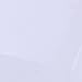HDE 2.4GHz Sports Car Shape Wireless Ergonomic Optical Mouse with Adjustable DPI (California Silver)