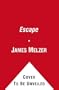 Escape: A Zombie Chronicles Novel