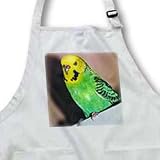 Birds - Budgie Parakeet - Aprons