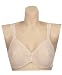 Breezies Riviera Lace Underwire Bra RETAIL VALUE $35