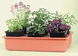 Emily &acute; s Garden System - Hydrofarm - B002JLG9DU