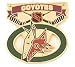 Phoenix Coyotes Face Off Pin