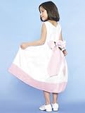 Picture Perfect Shantung Dress in 6 colors