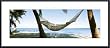 Relax - Hammock by unknown 36.00X11.75 Framed with Black Metal Frame