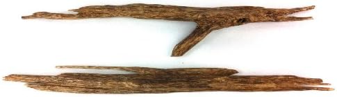 Agarwood barks 10 gm