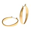 Brushed Goldtone Long Oval Dangle Earrings Fashion Jewelry