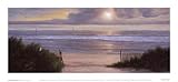 Summer Moments II HIGH QUALITY MUSEUM WRAP CANVAS Print Diane Romanello 11x5