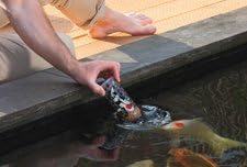 Pond Fish Feeding Bottle