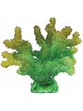 Illuminated Acropora Coral, Large (Ethical)