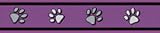 Red Dingo Dog Leash - Purple Pawprints (Large)