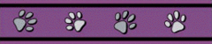 Red Dingo Dog Leash - Purple Pawprints (Small)