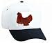 White Cap with ruva, domesticated, laying, domestic, fowl, chicken, poultry, eggs, li...