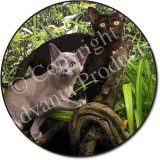 TWO BURMESE CATS Fridge Magenet