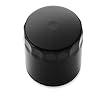 Genuine Harley-Davidson Black SuperPremium5 Oil Filter for '99-later Twin Cam and Evolution Harley-Davidson models