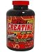 MET Rx Pure Creatine 240 x 700mg Caps