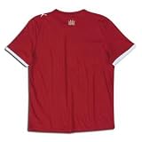 PUMA - PUMA King Limited Edition T-Shirt (Red)