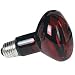 ZOO INFRARED 150W INC NOC BULB