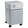 Austin Air HEGA Standard Air Cleaner - The Allergy Machine