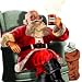 Barnie's Santa's White Christmas&reg; (BULK 5LB BAG -WHOLE BEAN) Coffee