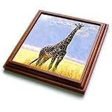 Giraffe - Giraffe - Trivets