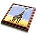Giraffe - Giraffe - Trivets