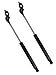 4217 Hood Lift Supports Strut, Set of 2 Fits - ES300 1992-1996, Fits - Camry 1991-1996
