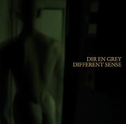 DIFFERENT SENSE(初回生産限定盤)(DVD付)